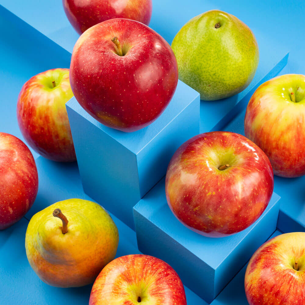 The Famous Duo Gift Box (12 pack)